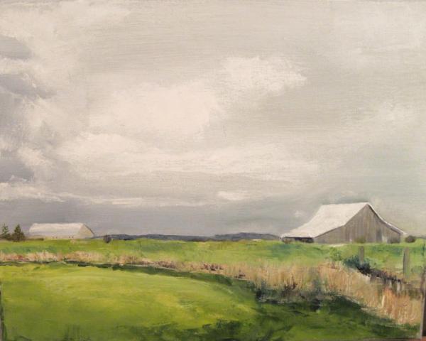 Skagit Barn Study