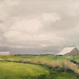 Skagit Barn Study