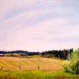 Hay Harvest