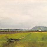 Skagit Hill Study