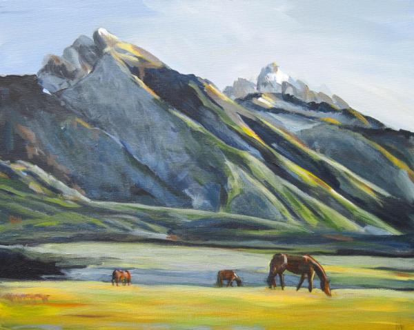 Mountain Pasture