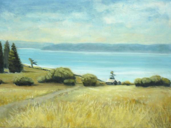 Ebey's Prairie - Summer