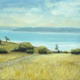 Ebey's Prairie - Summer